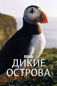 Дикие острова (2023)