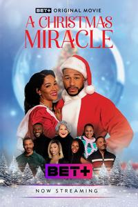 Рождественское чудо (2024)