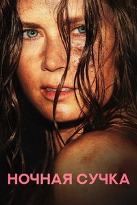 Ночная сучка (2024)
