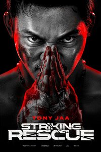 Ударное спасение (2024)