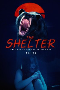 Укрытие (2024)